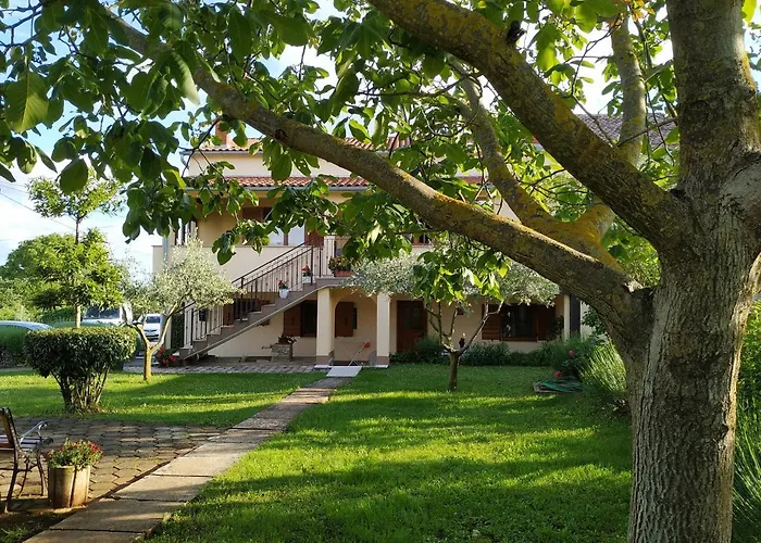 Apartment Dado