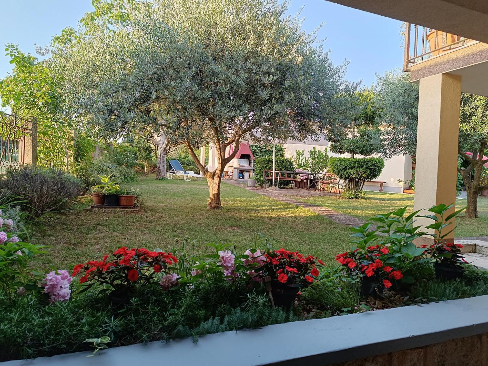 Dado Porec